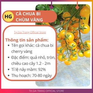 Hạt giống cà chua bi chùm vàng (Cà chua cherry vàng) - Shop hạt giống Tạ Gia Trang