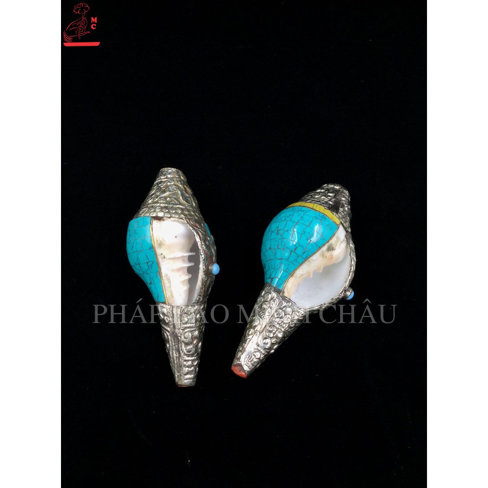ỐC BIỂN NEPAL HOA VĂN TO