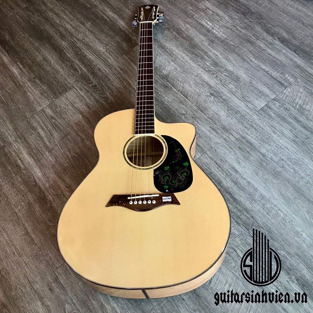 Đàn guitar cao cấp còng cườm SV-A6 - Tặng full phụ kiện