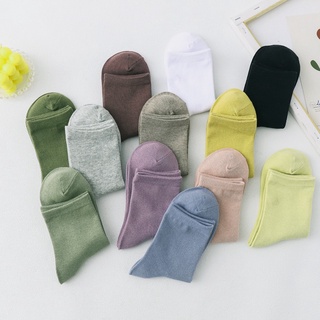 VỚ TRƠN CỔ CAO BASIC MÀU PASTEL