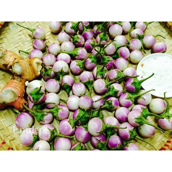 HẠT GIỐNG CÀ PHÁO TÍM