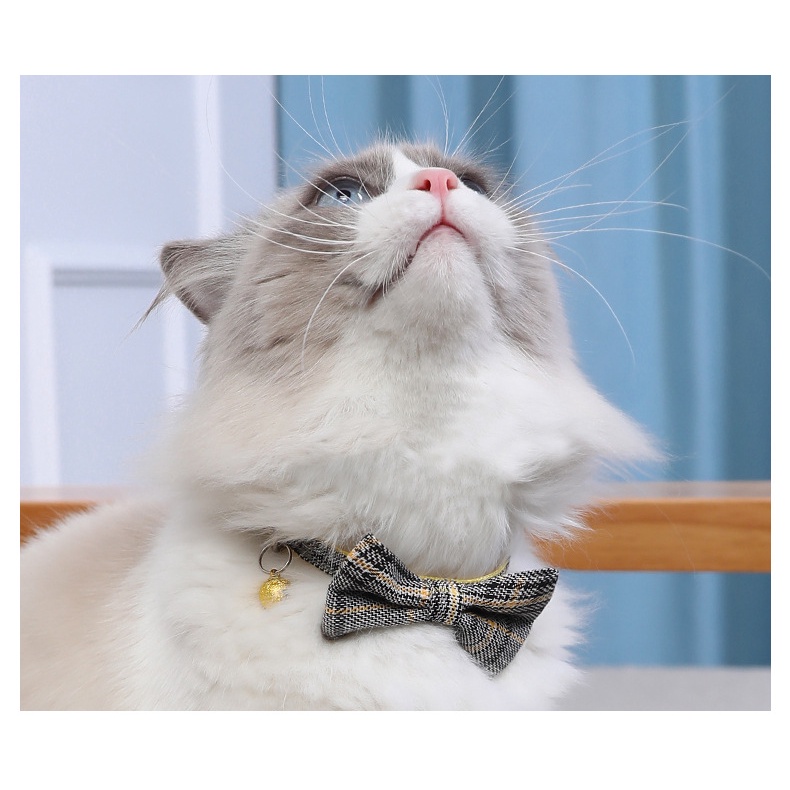 Vòng cổ đính nơ/ngôi sao dễ thương cho chó mèo