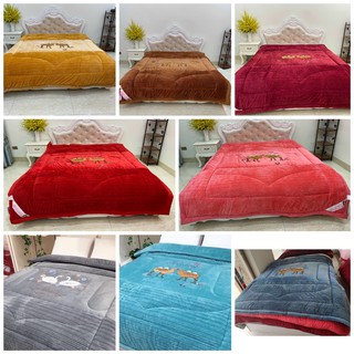 Chăn Lạc Đà Cao Cấp Kích Thước 2mx2m2 Nặng 4,5kg Hàng Nhập Khẩu