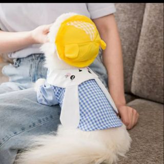 Bộ đồ thú cưng cho chó mèo