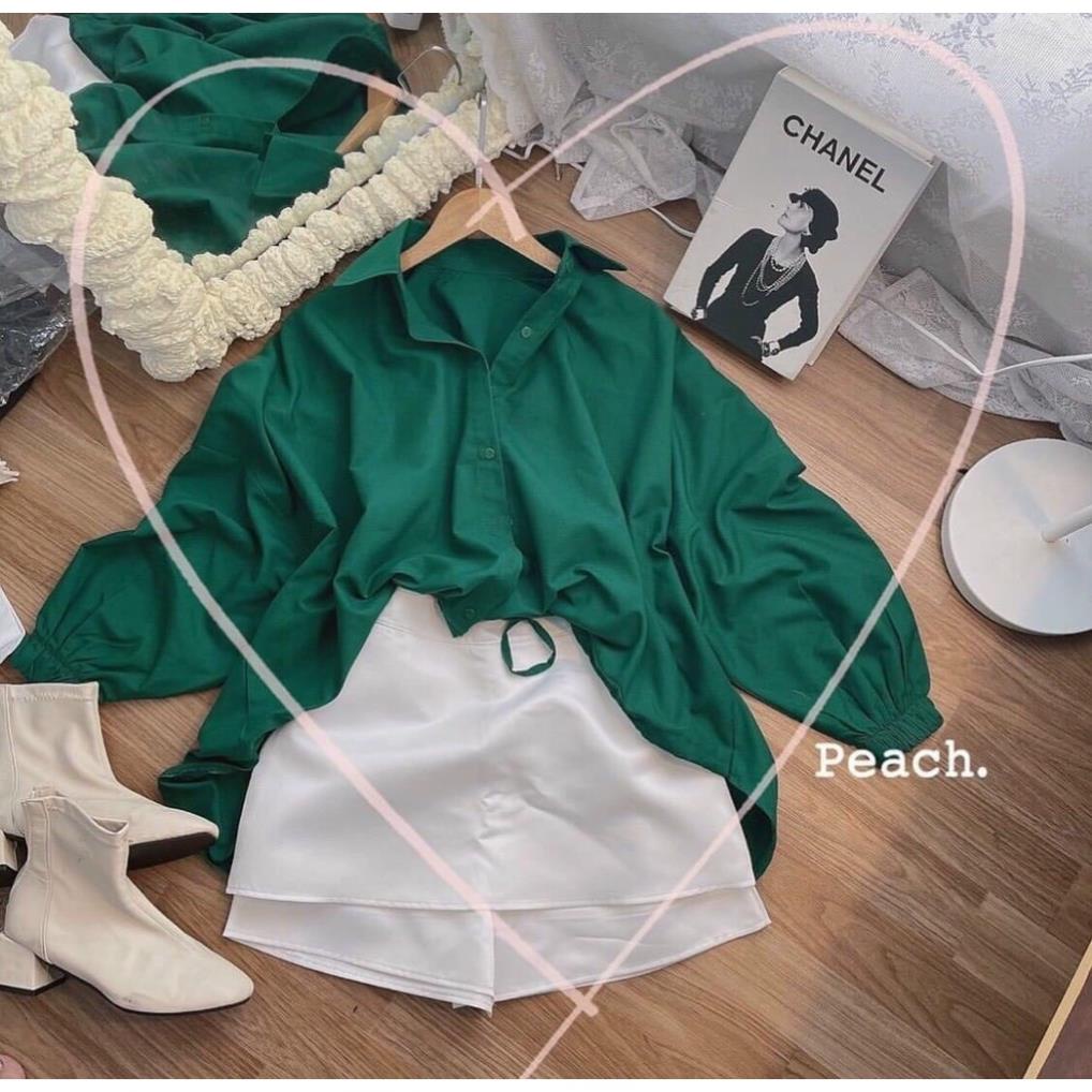 Set Sơ Nữ Form Rộng Hàn Quốc Kèm Quần Kaki Bộ Đùi Tay Lỡ  Dày Mịn Thoáng Mát Thiết Kế  Kiểu Dáng Năng Động Trẻ Trung