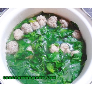 HẠT GIỐNG RAU MÃ ĐỀ