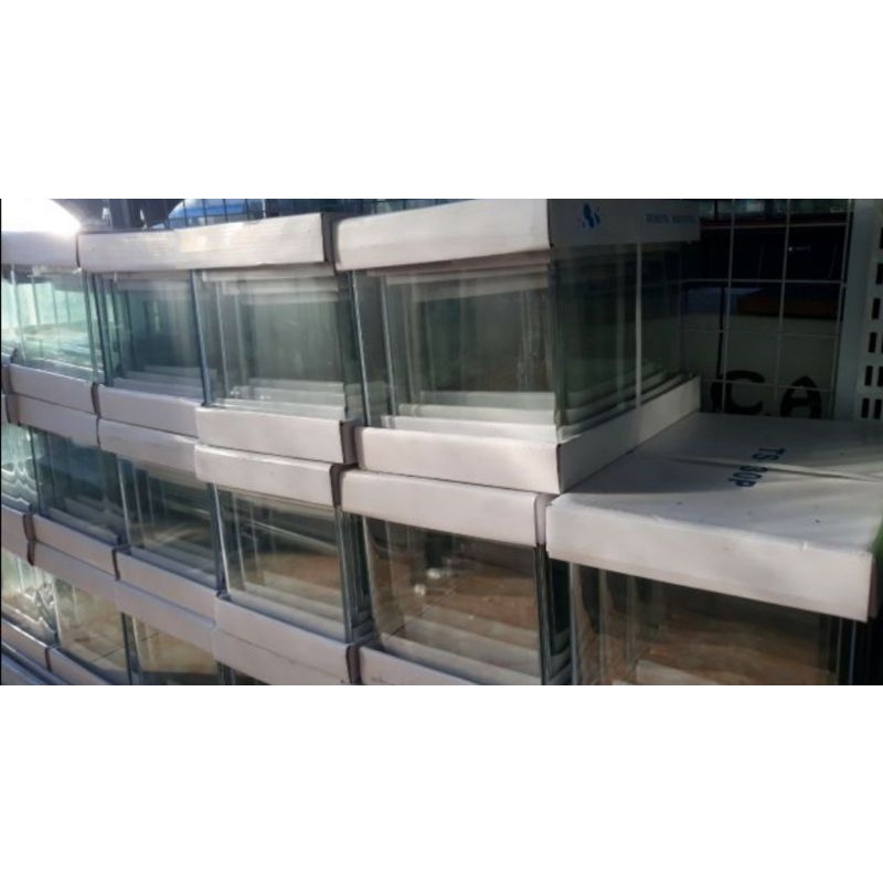 Hồ Kính Đúc Bo Cong 2 mặt - 4 Size - Nga Guppy