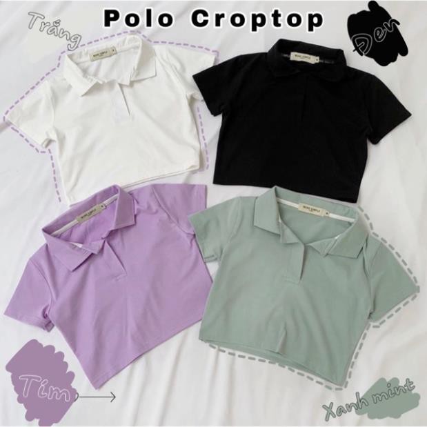 Áo Thun Nữ❤️FREESHIP❤️ Áo croptop polo cổ bẻ trơn 4 màu | BigBuy360 - bigbuy360.vn