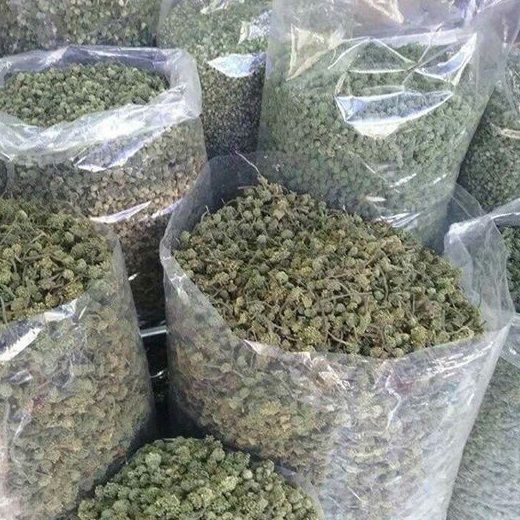 500gr NỤ TAM THẤT BAO TỬ KHÔ - hỗ trợ mất ngủ