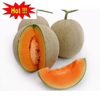 Gói 10 hạt Dưa lưới ruột cam siêu ngọt