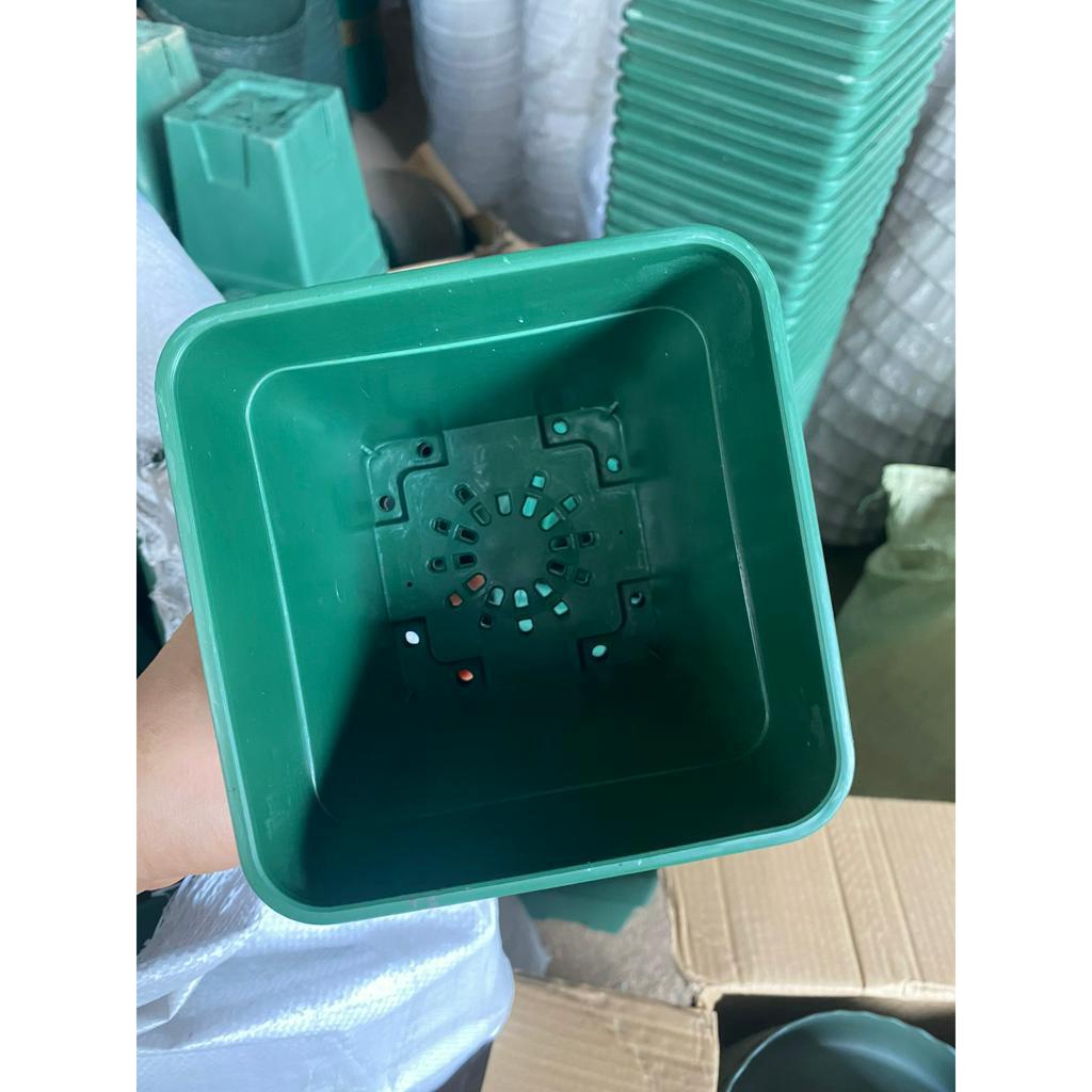 Chậu vuông cao cấp nhập khẩu size 22cm x 22cm GH3
