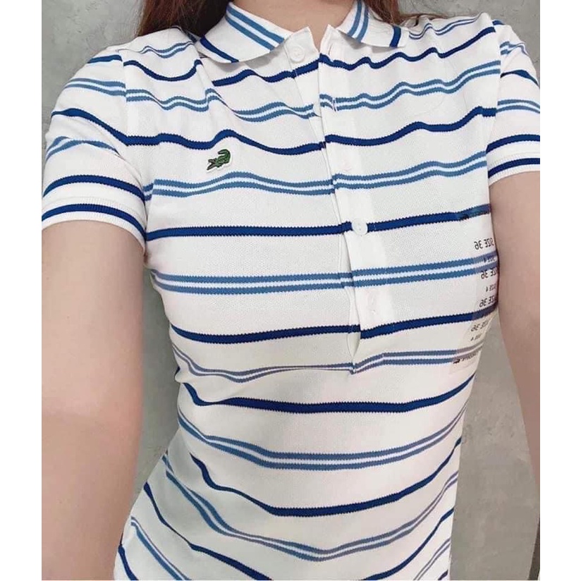 [ảnh thật-sẵn] Áo phông kẻ Polo cổ đức tag Cá sấu