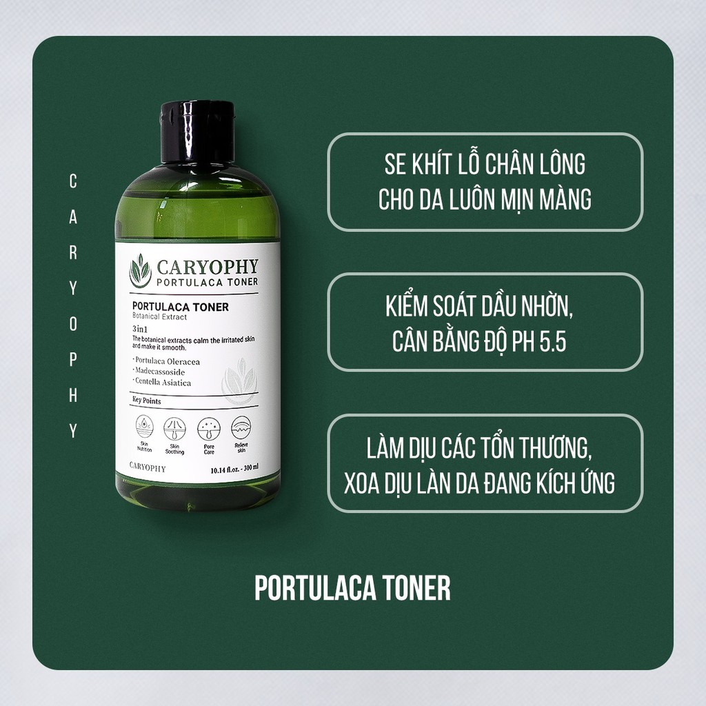 Toner caryophy nước hoa hồng làm sạch mụn mờ thâm dưỡng ẩm cho da caryophy portulaca toner 300ml - Lamicare