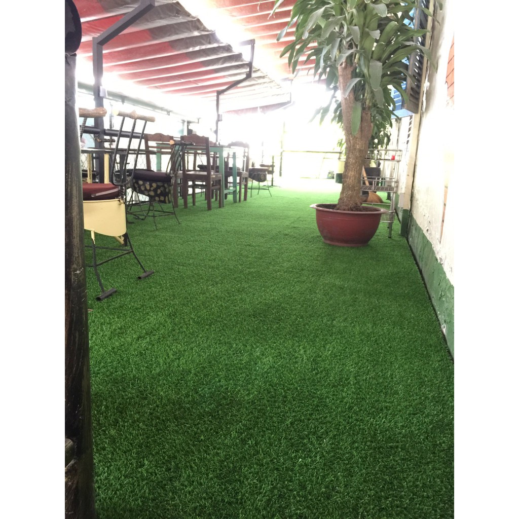 1 Mét Vuông Cỏ Thảm Trải Sàn  Treo Tường  Cỏ Nhân Tạo Sân 2cm