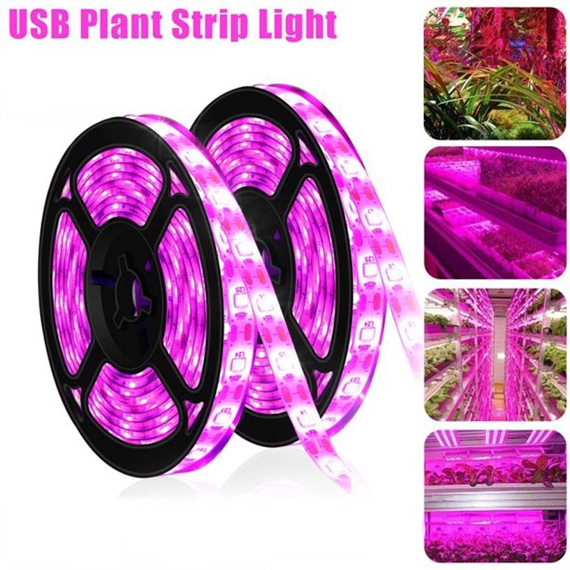 Dải đèn LED 0.5/1/3m 5V USB giúp cây tăng trưởng