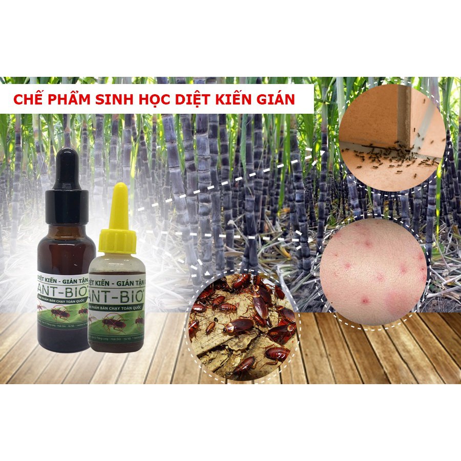 Thuốc diệt kiến gián tận gốc Ant Bio lọ 10ml - Đảm bảo an toàn tuyệt đối cho trẻ em và người lớn