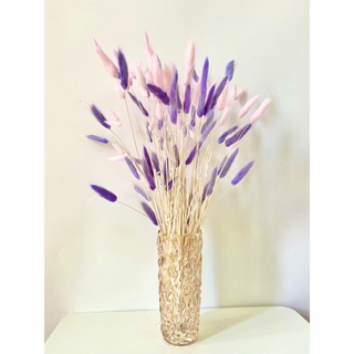 FREESHIP 🌸Hoa khô Lagurus Bunny Tails🌸BÔNG CỎ ĐUÔI THỎ/ CỎ LAU MỸ - HOA KHÔ ĐUÔI THỎ Decor, trang trí bó 50 bông