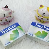 Viên uống Tanakan 90 viên nội địa Pháp