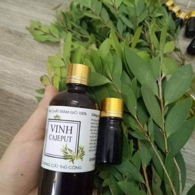 Tinh chất tràm gió chai 100ml (tặng chai 5ml)