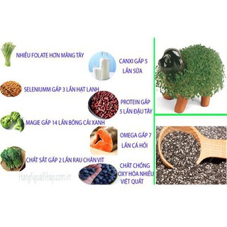 Hạt Chia đen Úc Black Bag Chia 500g