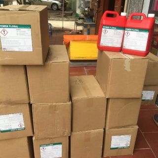 Nước lau sàn bệnh viện côn trùng