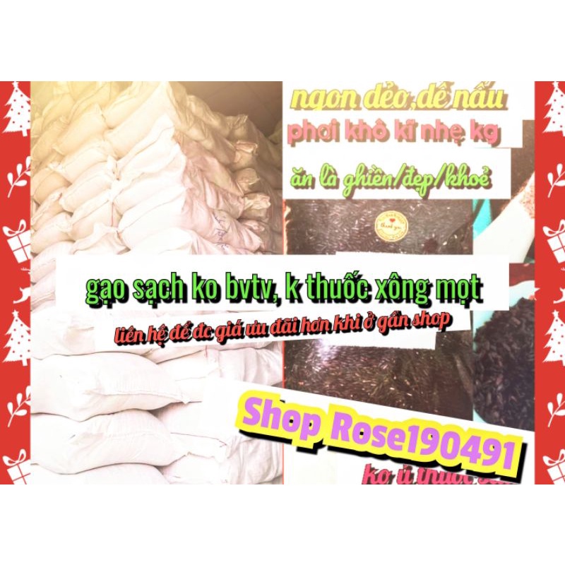 Sỉ lẻ tại nguồn 20 kg gạo Lứt Sạch Ngon Dẻo Dễ Nấu sale rẻ bằng giá sỉ đầu tấn