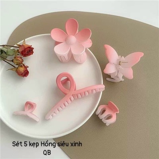 Set 5 kẹp tóc hồng siêu xinh