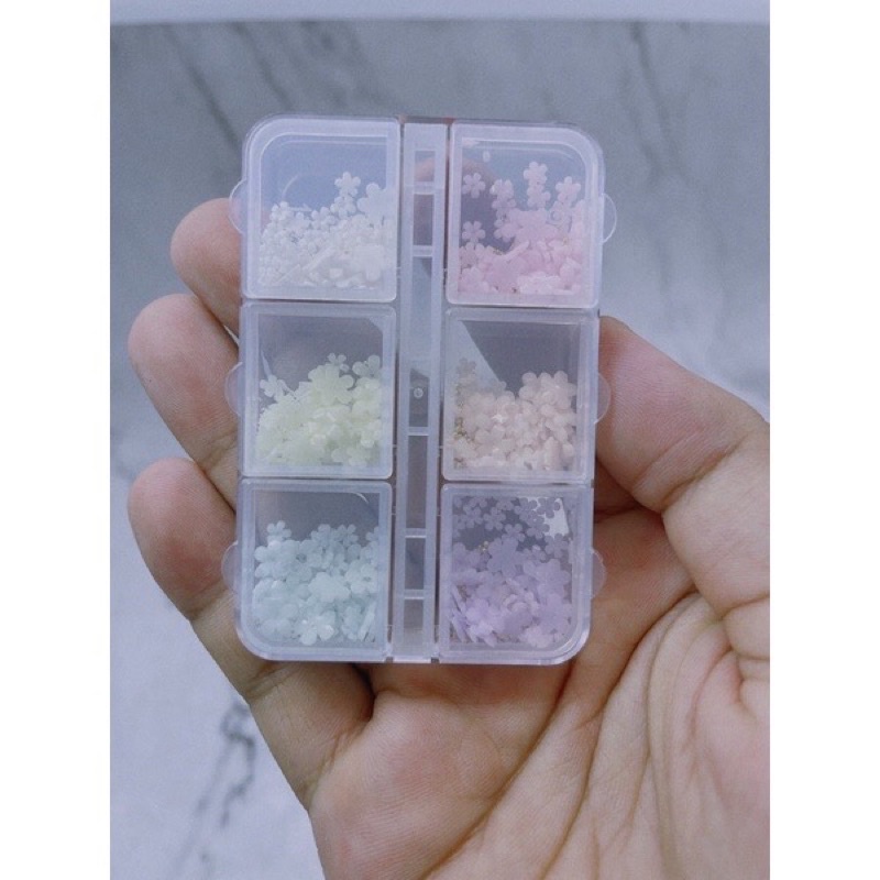 Hoa Khô Nhí,khay Charm Hoa Bi Mix 6 Màu,phụ Kiện Trang Trí Nail