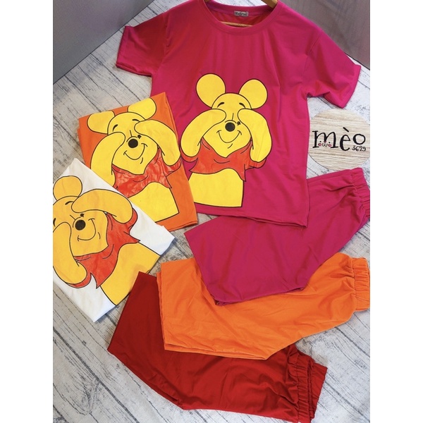 [Chuyên Sỉ] Bộ thun gấu ngố hình in lụa chất thun cotton - hàng đẹp may kĩ chuẩn shop