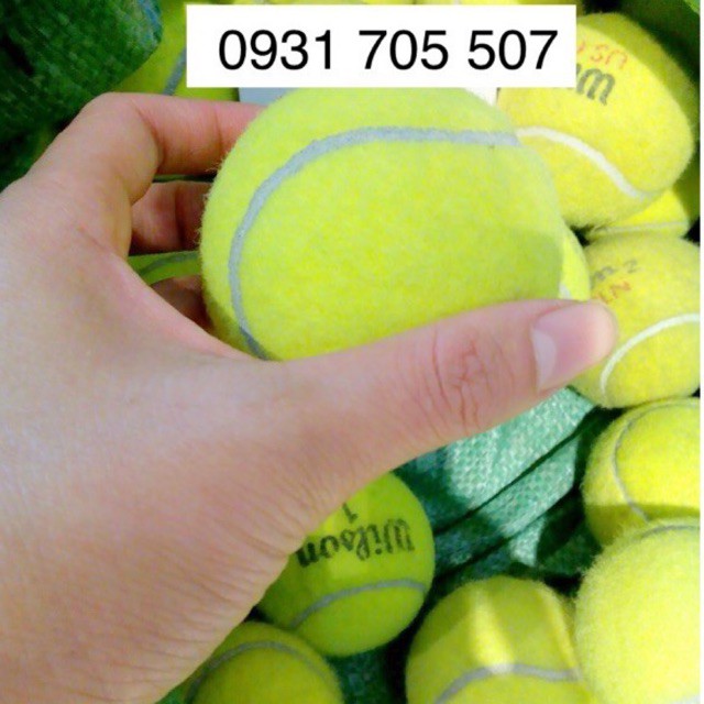 Bóng Tennis Cũ, Tuyển Lựa Kỹ - LYLYSPORTS
