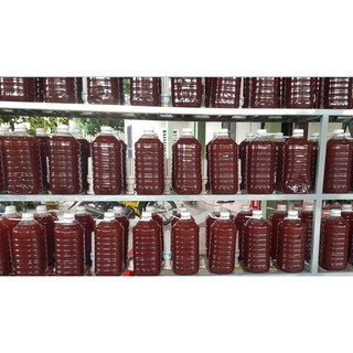 Vi sinh, vi khuẩn quang hợp PSB nhà làm