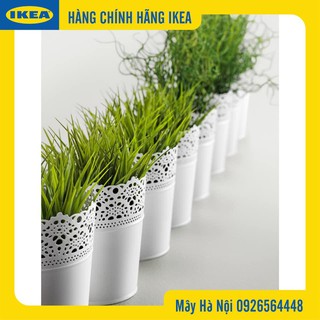 Chậu hoa IKEA ( chính hãng)