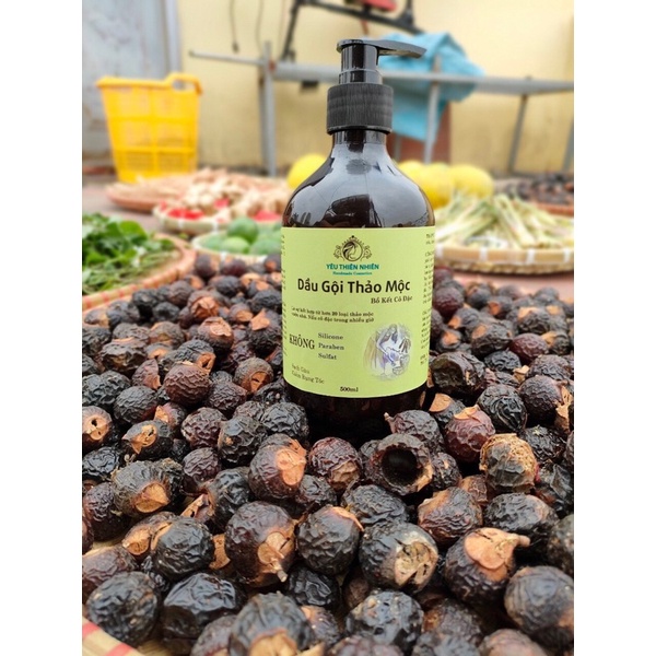 Dầu Gội Bồ Kết Thảo Dược Cô Đặc HandMade 500ML Giúp Sạch Gàu, Giảm Ngứa, Mọc Tóc Hiệu Quả 🔸 Anna Home