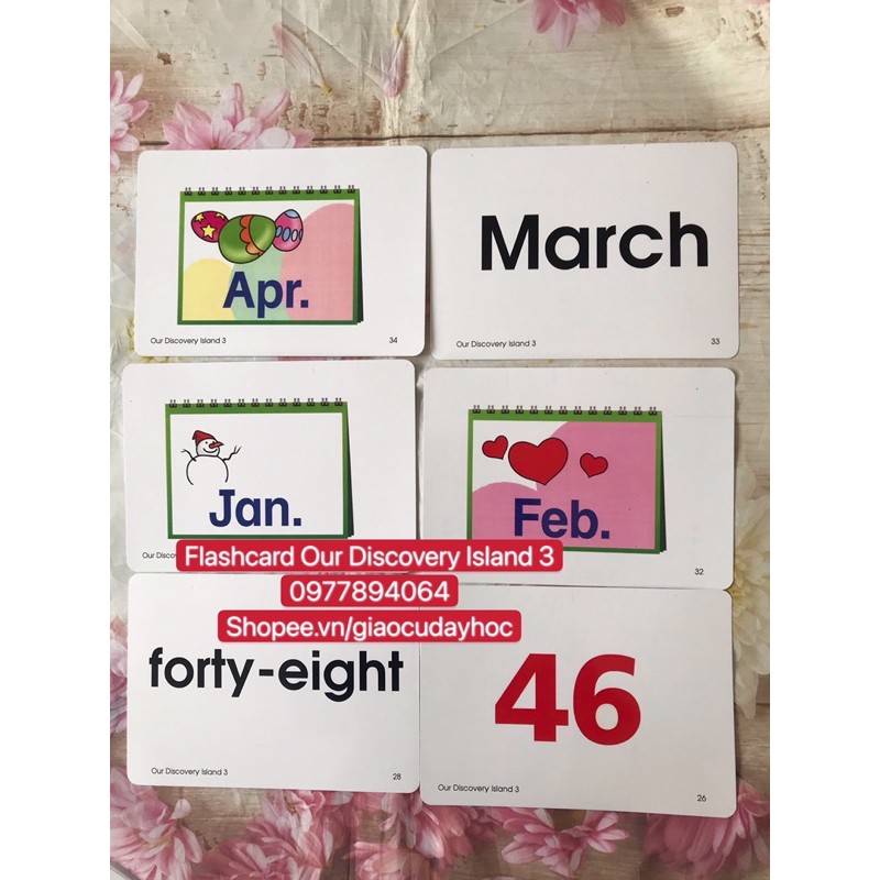 Flashcards  Our Discovery Island 3☘️194 thẻ thiết kế hai mặt bền đẹp💯