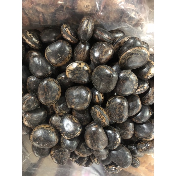 HẠT ĐẬU RẮN CẮN - HÚT NỌC ĐỘC CỦA RẮN , RẾT, MỤN ĐẦU ĐINH