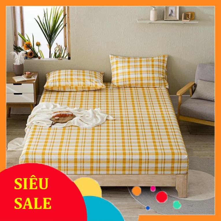 Set ga gối cotton tici kẻ _ ga gối Hàn Quốc đủ size đủ màu miễn phí bo chun