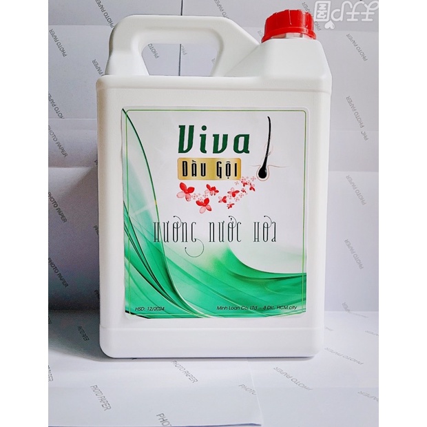 Dầu Gội ViVa (can 5 lit) siêu tiết kiệm cho nhà nghỉ, khách sạn