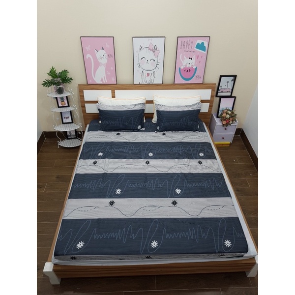 Ga gối giường,nệm cotton boly dùng cho cả 4 mùa