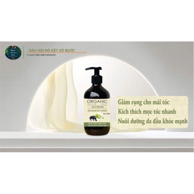 Combo gội xả gồm dầu gội vỏ bưởi 300ML & Kem ủ tóc 250GR | BigBuy360 - bigbuy360.vn