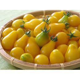 HẠT GIỐNG CÀ CHUA LÊ VÀNG 30 HẠT