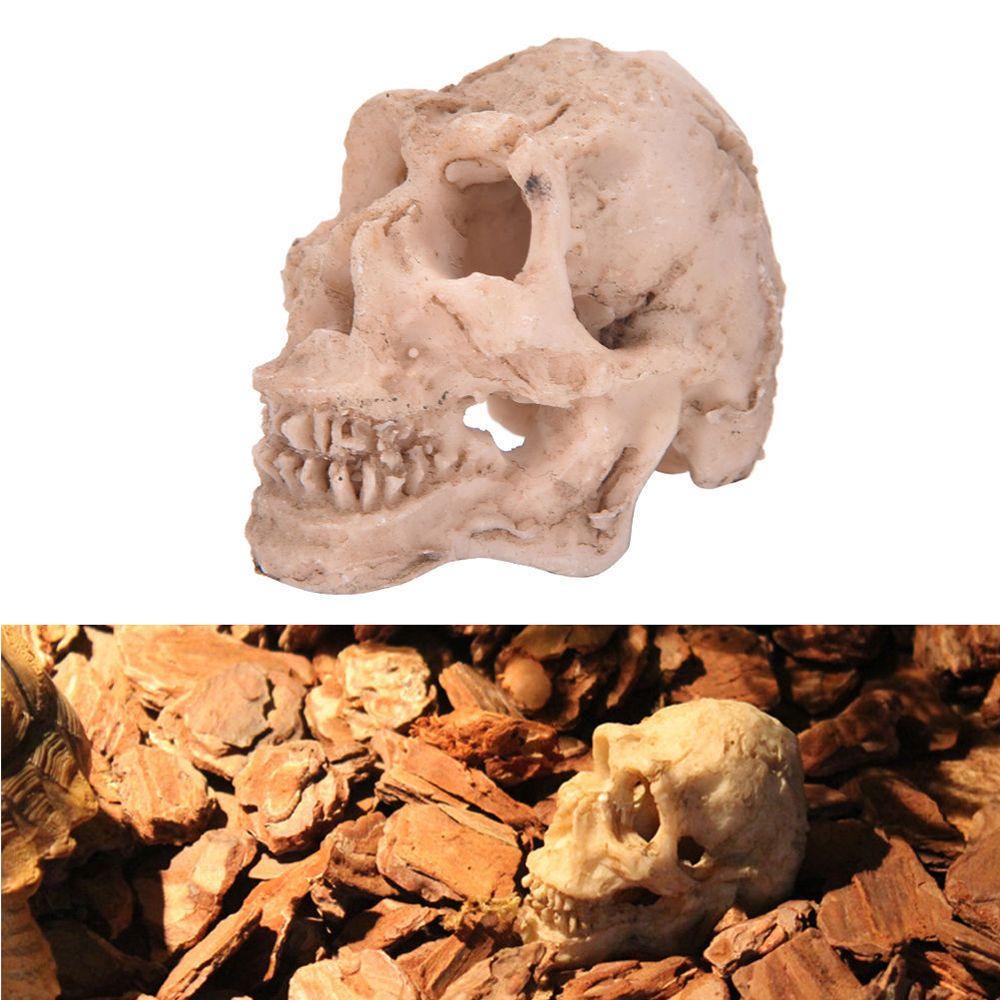 Xương Sọ Nhân Tạo Bằng Resin Tổng Hợp Kích Thước Nhỏ Trang Trí Bể Cá Phong Cách Thời Trang