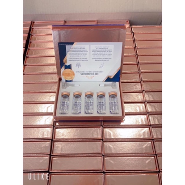 Tế Bào Gốc Nhau Thai DNA Cá Hồi