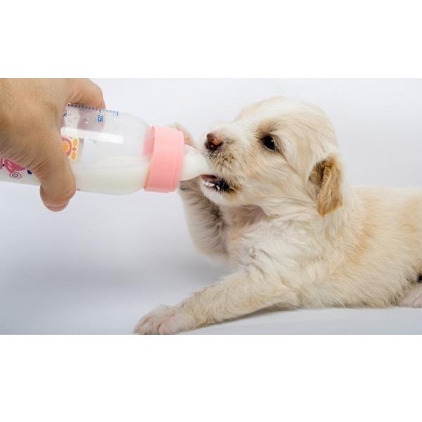 Sữa bột Bio milk for pet |BIO-milk |Biomilk - Sữa dinh dưỡng cho chó mèo 100g