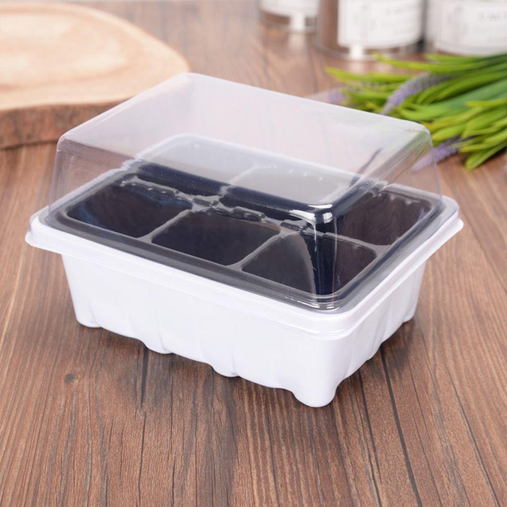 YOLA Khay Trồng Cây Mầm Mini 6 / 12 Ngăn Bằng Nhựa Trong Suốt