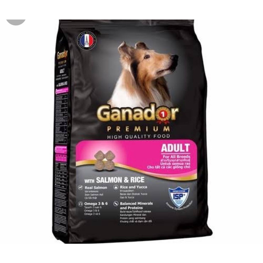 Ganador Adult vị cá hồi ( chó trưởng thành)-3Kg