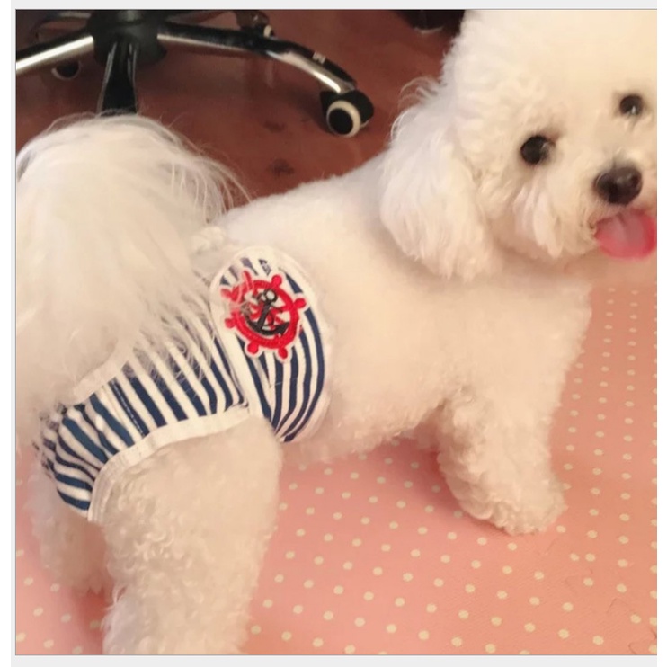 QUẦN CHIP CHO CHÓ MÈO, QUẦN SINH LÝ CHO CHÓ CÁI - LOVE PETS SHOP