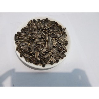 2kg hạt hướng dương loại 1