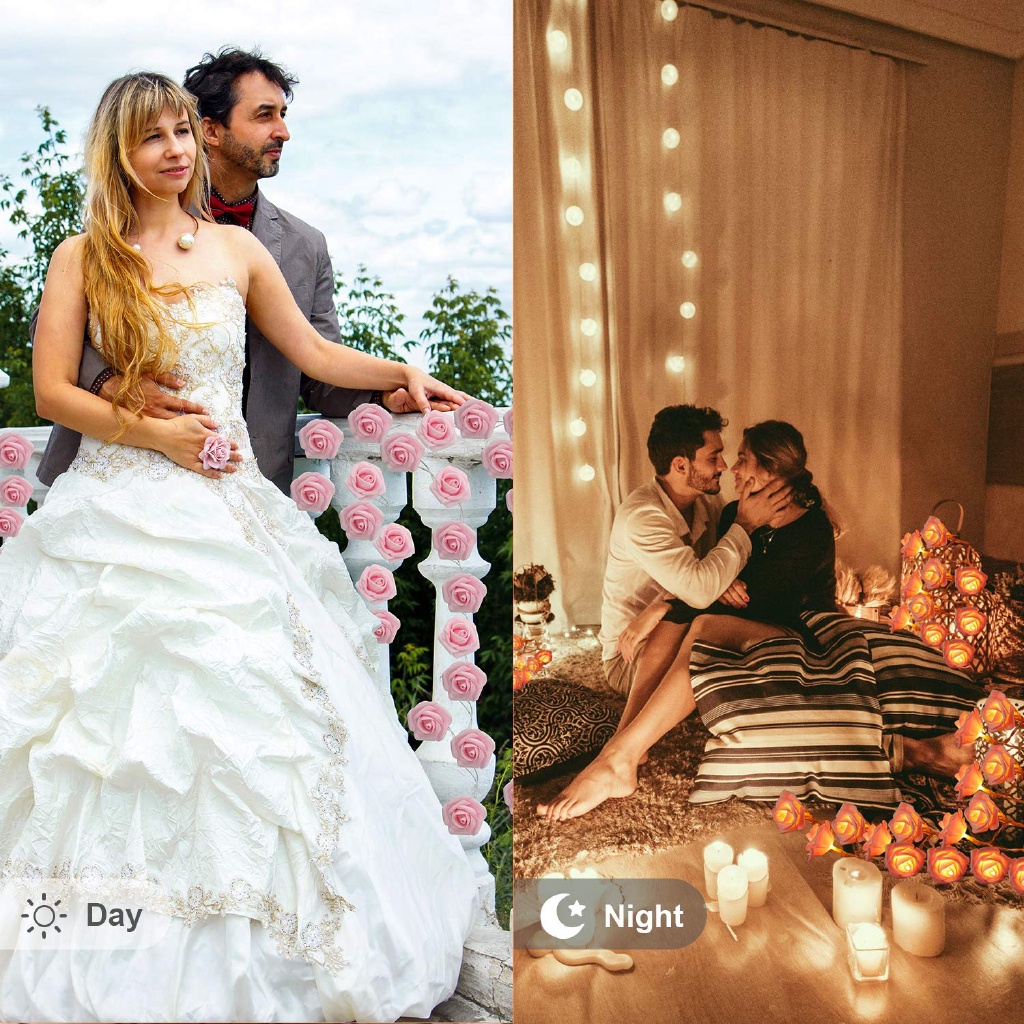 Dây Đèn LED 2.5M 20 Bóng Hình Hoa Hồng Chạy Bằng Pin Dùng Trang Trí Trong Nhà / Ngoài Trời