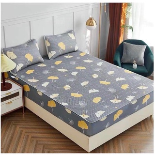 Chiếu cao su non bo chun 2mx2m2 kèm  2 vỏ gối nằm