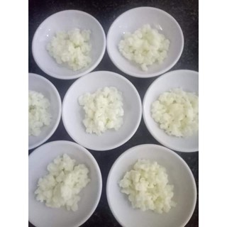 nấm sữa chua kefir